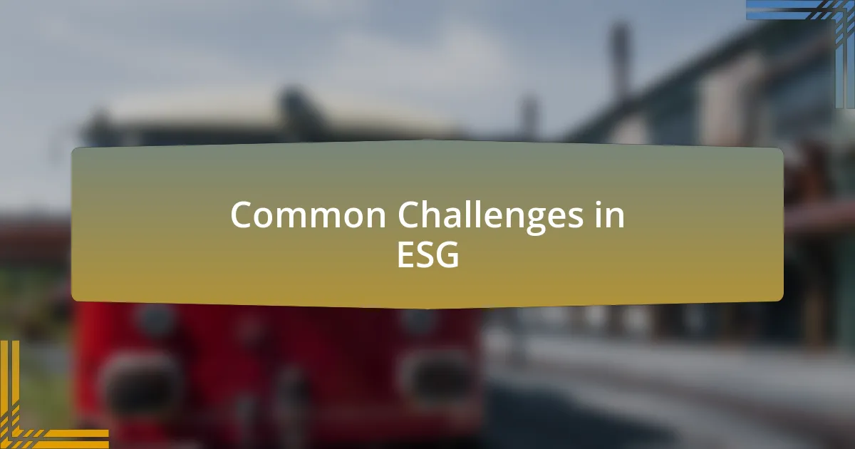 Common Challenges in ESG