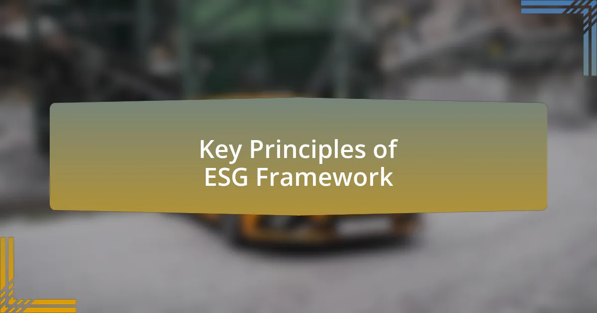 Key Principles of ESG Framework