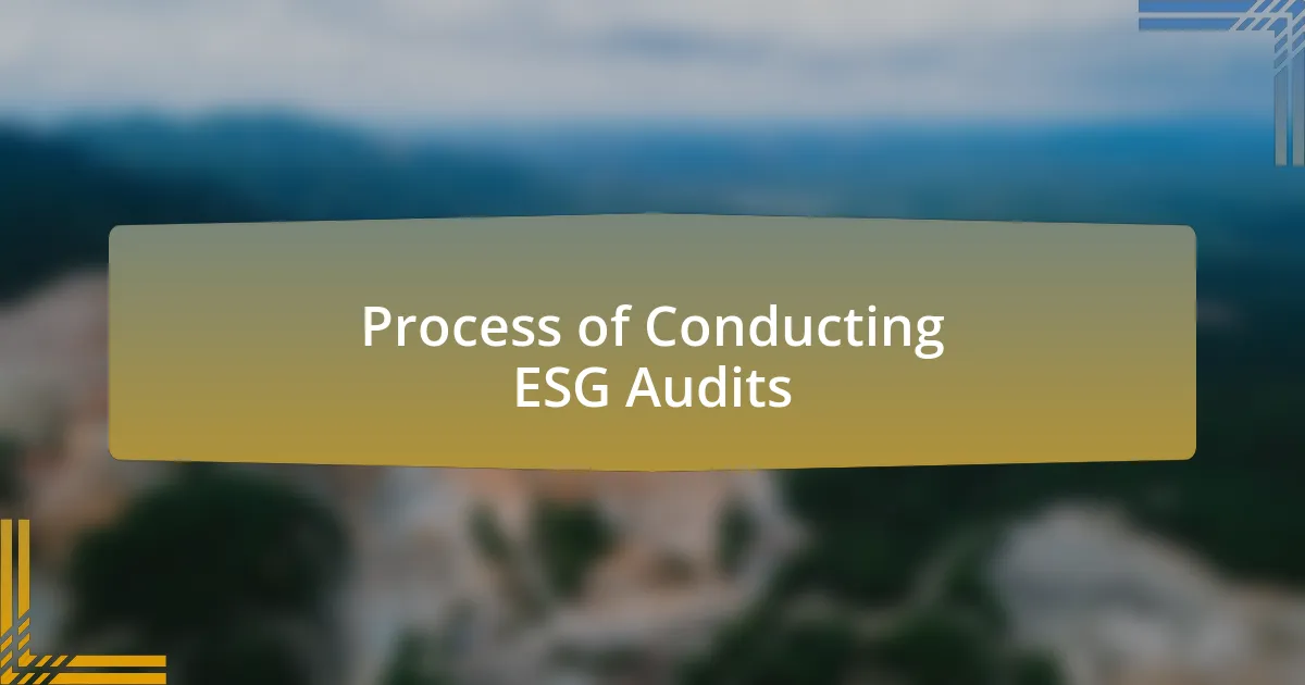 Process of Conducting ESG Audits