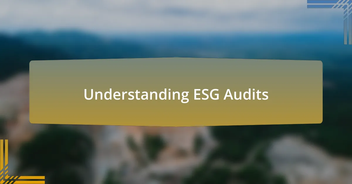 Understanding ESG Audits