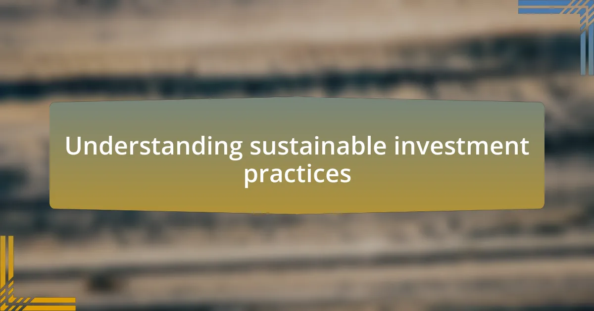 Understanding sustainable investment practices